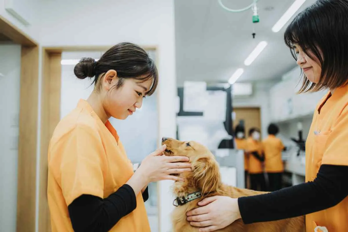 動物看護師(正社員)